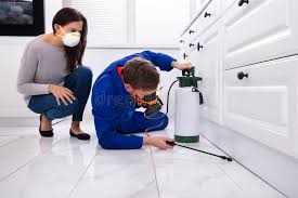 Best Pest Prevention Services  in Oceanside, NY